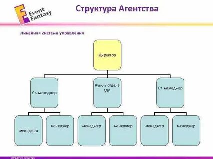 Агентство структура