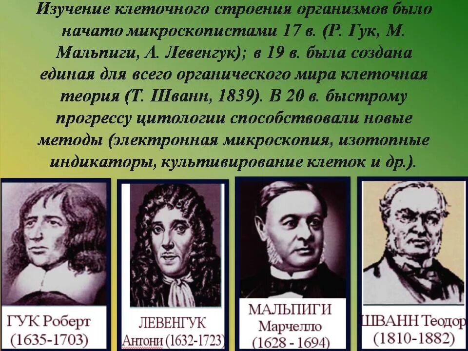 Клеточная теория строения организмов. Создание клеточной теории строения организмов. Клетка клеточная теория строения организмов. Левенгук клеточная теория.