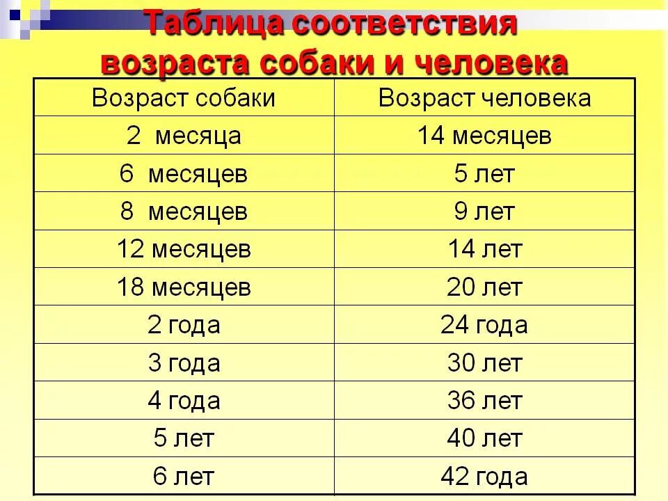 На сколько возрастет. Таблица лет собак и человека. Возраст собаки и человека соотношение таблица. Соответствие возраста собаки и человека таблица. 4 Месяца собаке по человеческим меркам это сколько лет таблица.