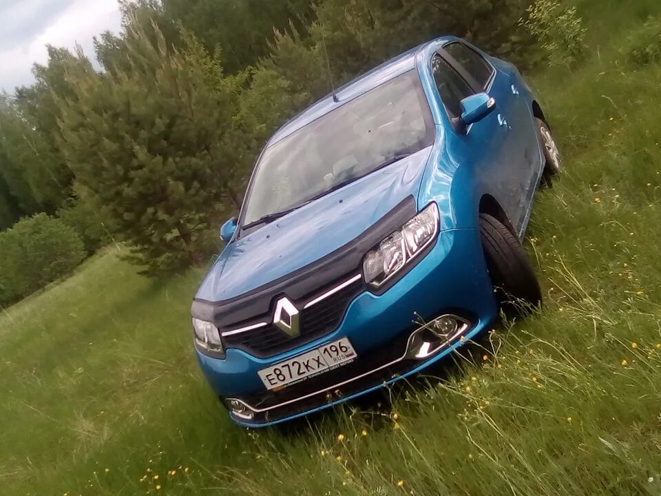 Renault бу. Автомобиль Рено на природе. Renault природа. Рено б.у. Рено бу.