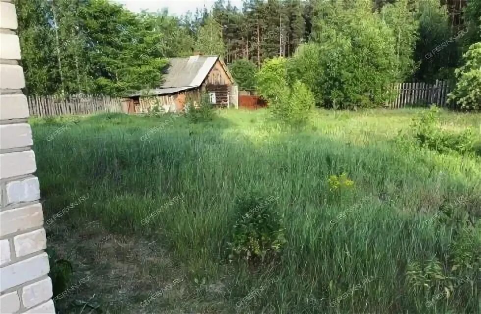 Погода конево балахнинский район. Деревня Конево Балахнинский район Нижегородской области. Конево Городецкий район Нижегородская область. Деревня Конево Городецкий район. Деревня Гриденино Балахнинский район Нижегородская область.