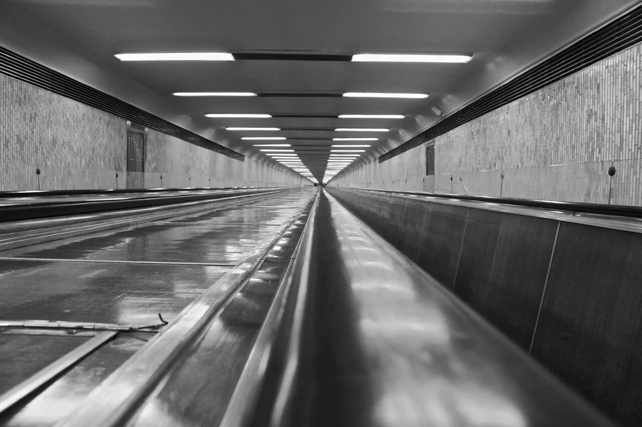 Parallel Lines Images - Browse 288,449 Stock Photos, Vectors, and Video Adobe St