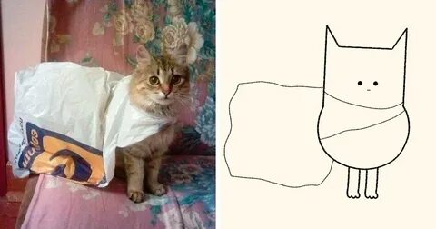 Кота какой нибудь