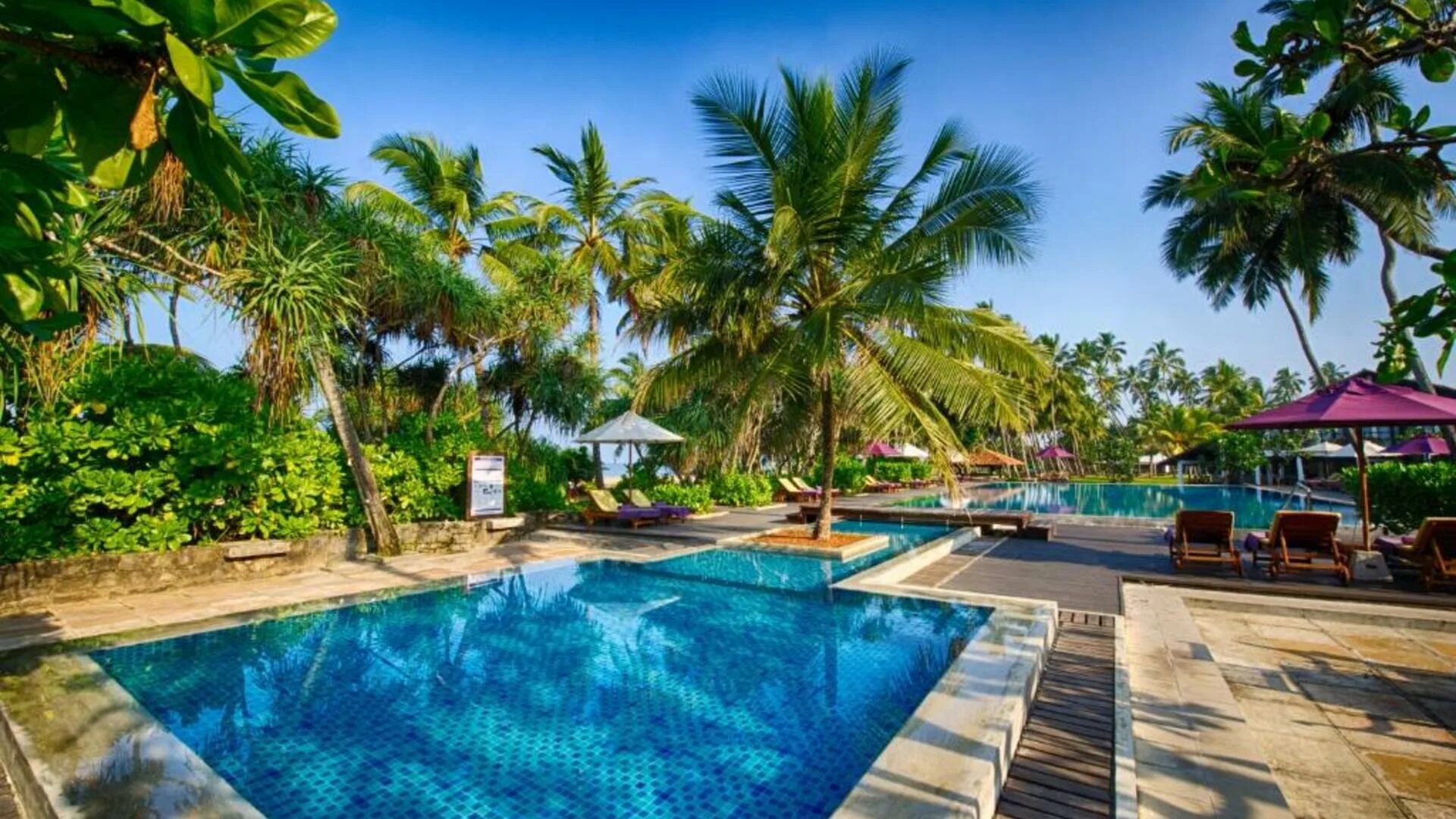 Москва шри ланка отдых. Бентота шри ланка. avani bentota resort spa. avani bentota resort &amp; spa 4*. avani bentota resort spa 5 шри ланка.