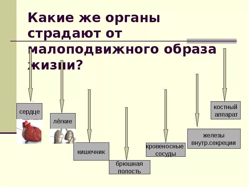 Какой орган в первую очередь страдает от малоподвижного образа жизни. Гиподинамия статистика. Образ жизни малоподвижный подвижный. Статистика малоподвижного образа жизни в России.