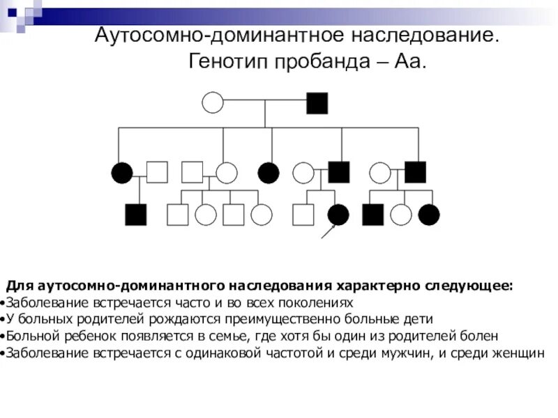 Аутосомно-доминантное наследование. Аутосомно-доминантный Тип наследования. Аутосомно-доминантный Тип наследования родословная пример. Генеалогический метод аутосомно доминантный Тип.