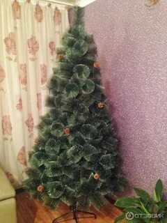 Садовод ели