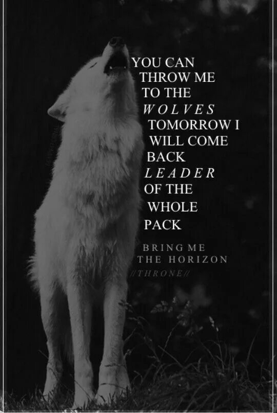 No tomorrow wolves at the. Bmth Throne. Bring me the Horizon Throne. Волчьи цитаты. Throne bring me to Horizon.