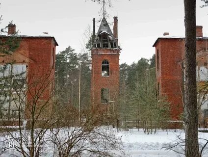 Лесной корпус