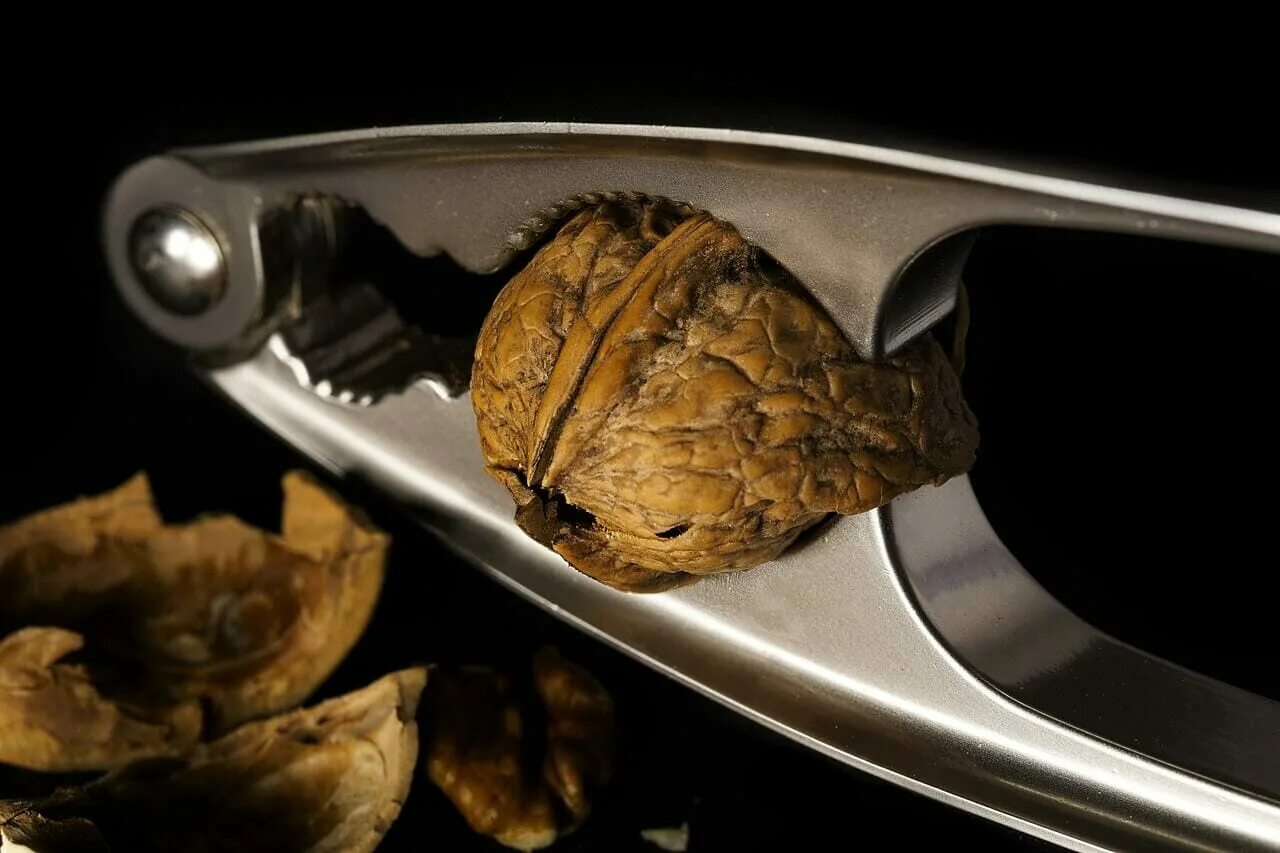 Колющие орехи. Орех грецкий. Разломленный орех. Колющие орехи. Ядро грецкого ореха.