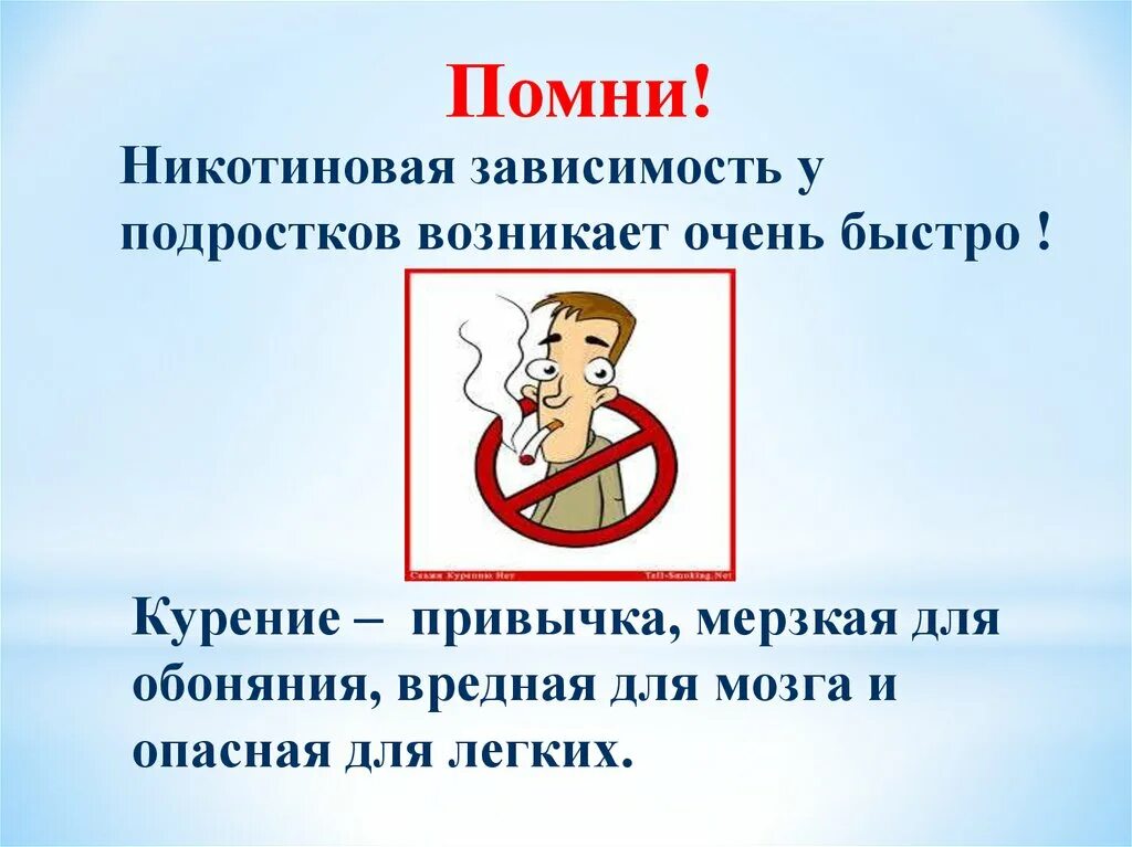 Причины появления привычек