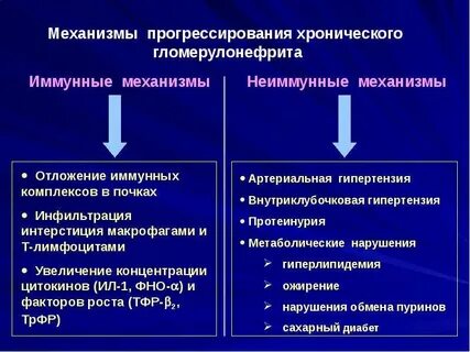 При гломерулонефрите поражается тест аккредитация