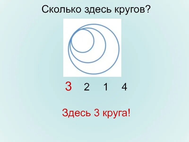 Сколько здесь кругов загадка. Сколько здесь всего кругов игра. Сколько тут кругов. Картинка сколько здесь кругов.