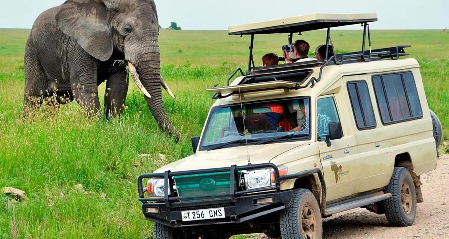 Парк амбосели кения. Аэропорт килиманджаро танзания фото. Toyota land cruiser safari. Юар сафари. Toyota land cruiser safari 2000.