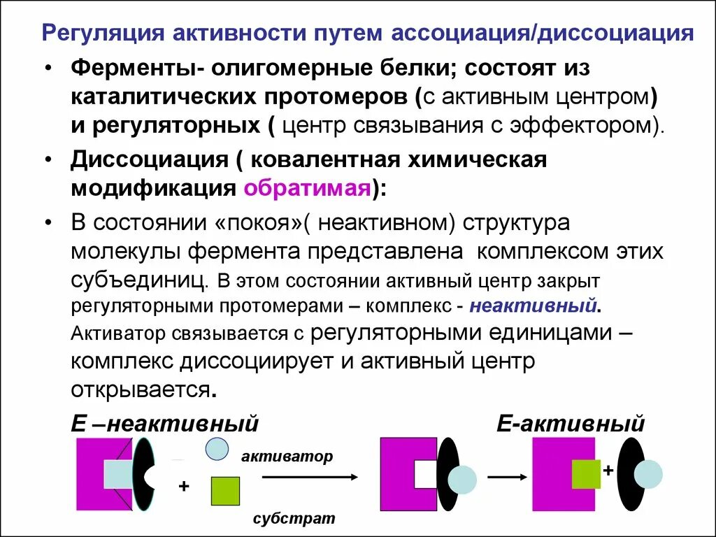 Регуляция активности ферментов ковалентная модификация. Механизмы регуляции активности ферментов Ассоциация диссоциация. Регуляция активности ферментов схемы. Механизмы ковалентной регуляции активности ферментов. Регуляция активности ферментов путем изменения их конформации.