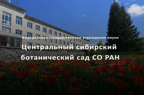 Сайт цсбс со ран новосибирск