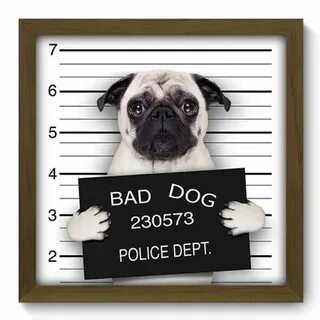 Bad dog
