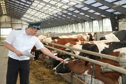 Предприятия ветеринарной продукции