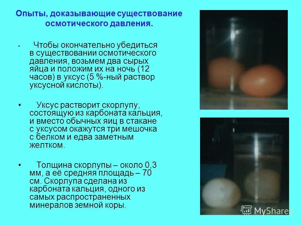 Подтвердив существование. Подтвердив существование. Опыты подтверждающие наличие атмосферного давления. Подтвердив существование. Подтвердив существование.
