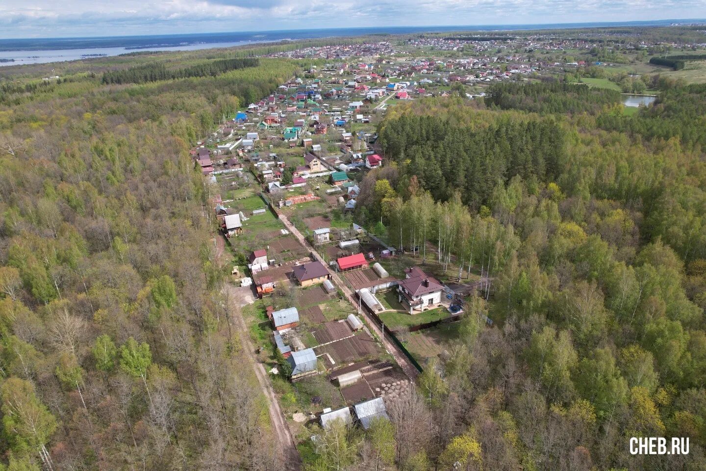 Снт чайка-2. Садовое товарищество чайка. Деревня фомино московская область. Садовое товарищество чайка. Дача станция сенеж чайка.