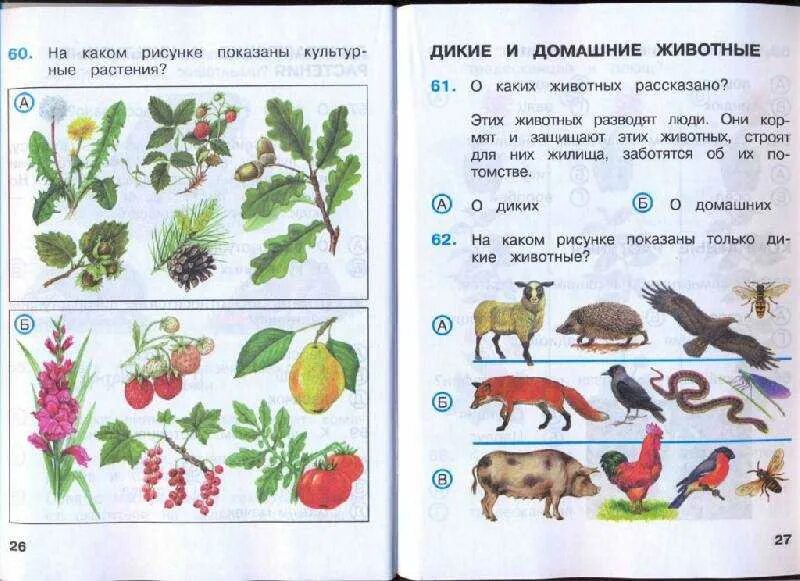 Окружающий мир решать тесты. Окружающий мир. задания для второго класса по окружающему миру. задания по окружающему миру 3 класс. задания для первого класса по окружающему миру.