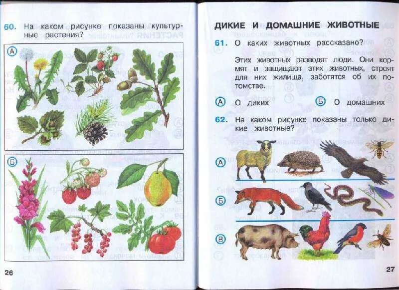 Окружающий мир тесты 2 класс перспектива ответы. Задание по окружающему. Окружающий мир. Задания по окружающему миру 2 класс. Задания для второго класса по окружающему миру.