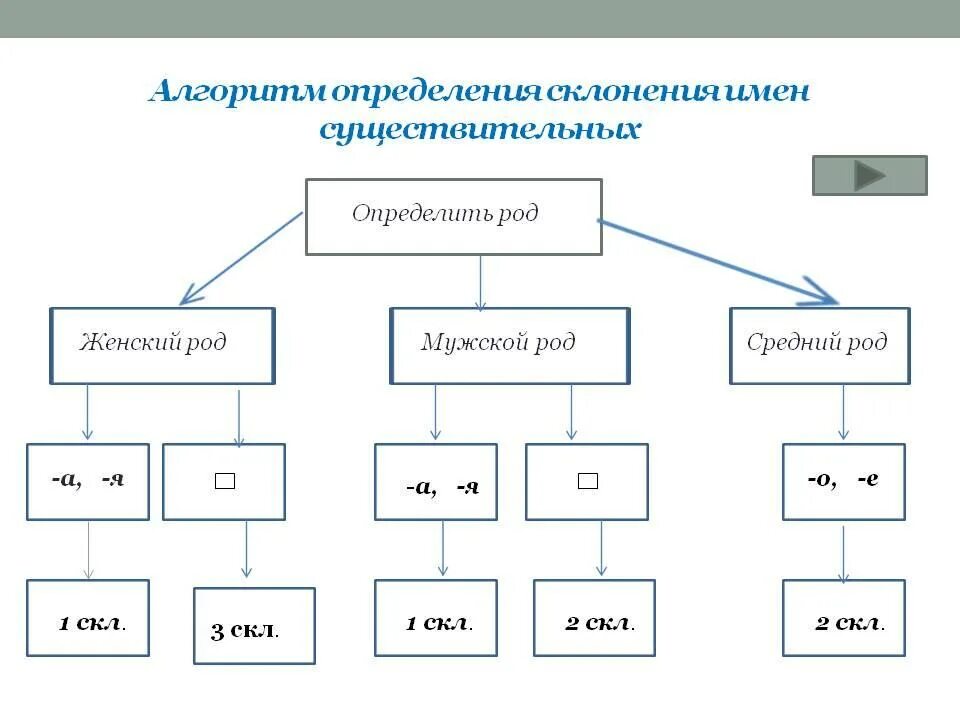 Алгоритм по родам. Алгоритм склонения имен существительных. Алгоритм определения рода имен существительных. Склонение существительных схема. Алгоритм определения склонения имен существительных.