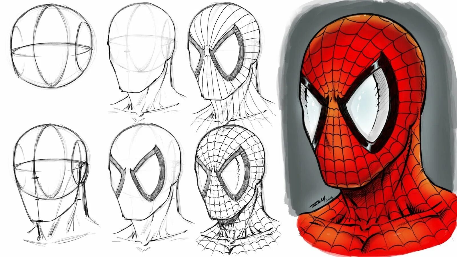 Рисунки Марвел легкие человек паук. Поэтапное рисование человека паука. Рисунки для срисовки Марвел человек паук. Человек паук рисунок карандашом для срисовки.