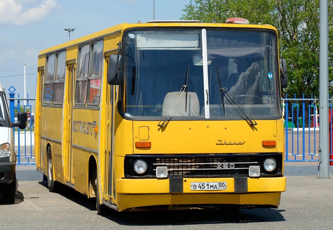 Озера коломна автобус. Икарус 260.50. Икарус 260 желтый. Ikarus 260.50 fotobus. Икарус 556 в Коломне.