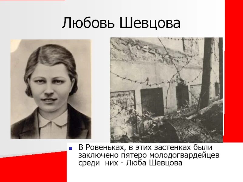 Люба жила. Люба Шевцова молодая гвардия. Любовь Шевцова герой советского Союза. Люба Шевцова Олег Кошевой. Молодой гвардии. Любовь Шевцова.