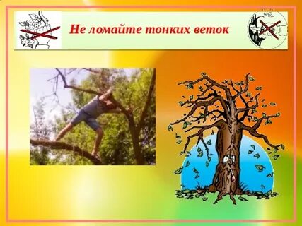 Человека не ломай