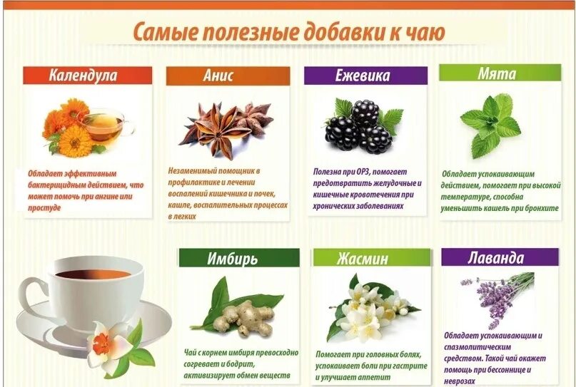Какие травы собирать для чая на зиму. Травяные добавки в чай. самые полезные травы. полезные добавки к чаю. самые полезные травы для чая.