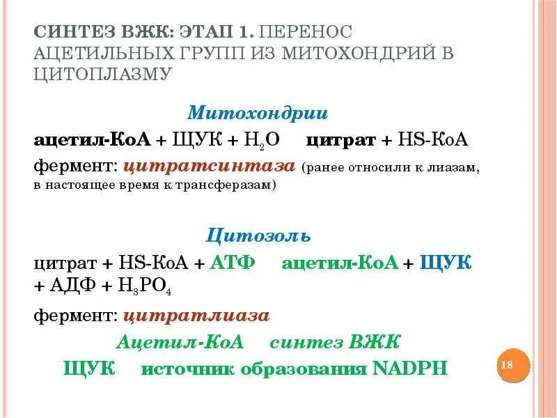 Синтез вжк. Синтез высших жирных кислот. Синтез бывших жирных кислот. Этапы биосинтеза ВЖК.