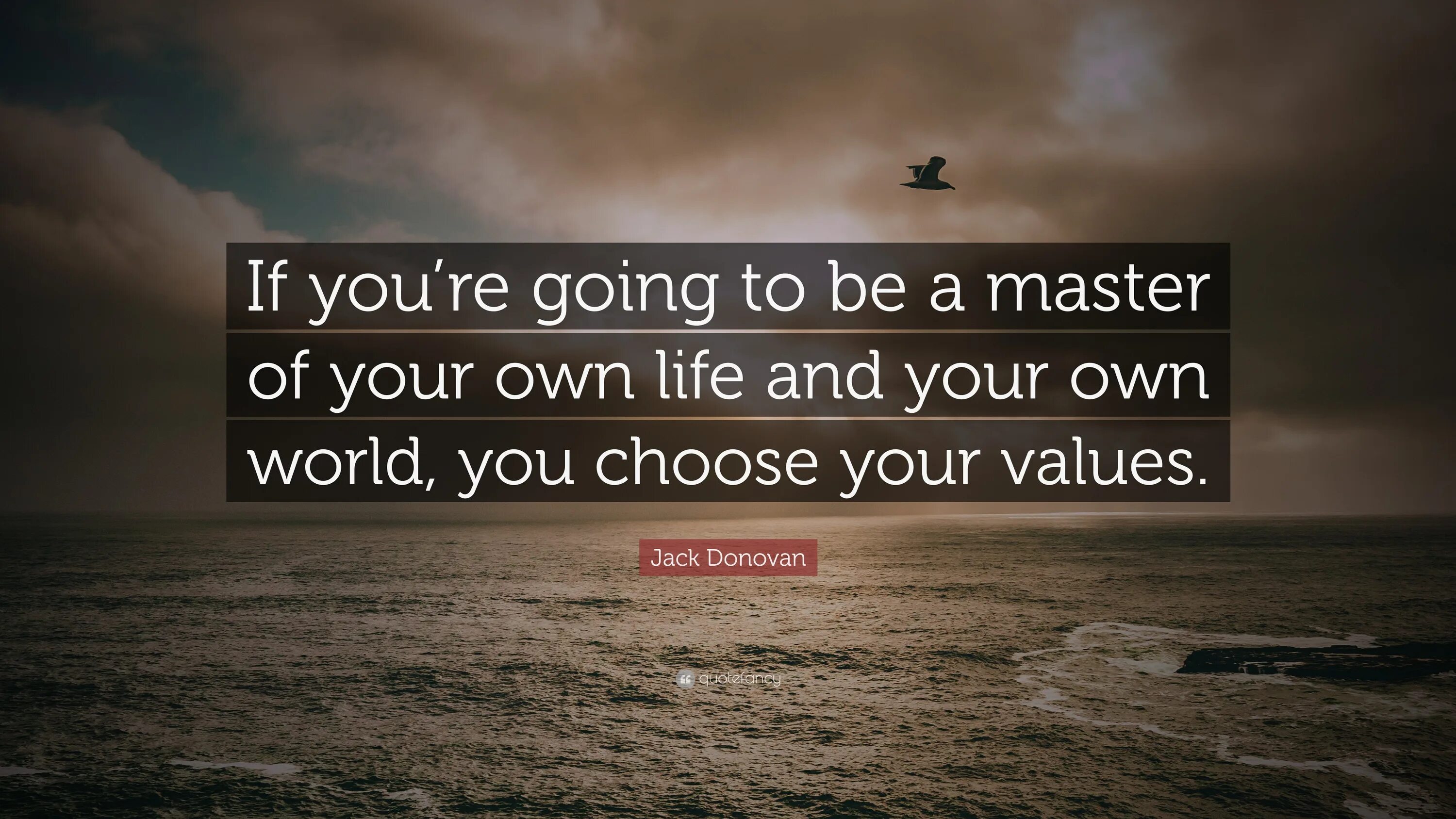 Your own is looking at you. What makes you feel good. looking good feeling good. you look good. what makes me feel good.