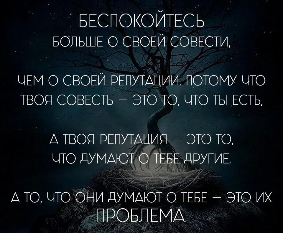 Беспокойтесь больше о своей совести. Афоризм жить по совести. Мудрые слова о совести. Высказывания о совести. Не заботьтесь что говорить