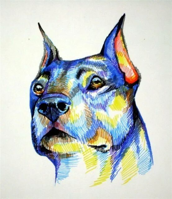 Katy lipscomb стихии. Животные маркерами. Волк набросок фломастеры. Животные фломастерами. Рисунки фломастерами.