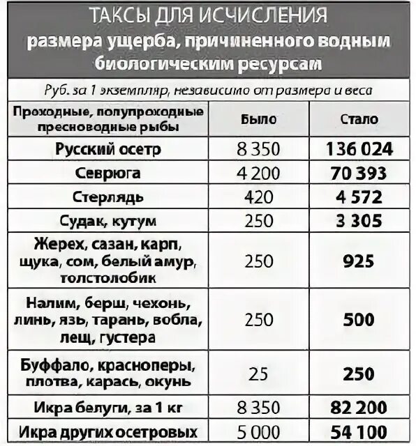 Запрет ловли в 2023 году. Штрафы за рыбу. Таблица штрафов за рыбу. Штраф за рыбалку. Штрафы за рыбалку в 2023.