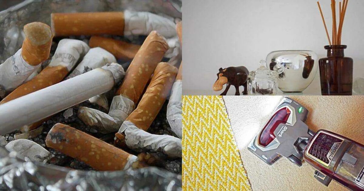 Запах табака в комнате. Вонючие сигареты. запах сигарет. запах сигарет в комнате. запах для комнаты.