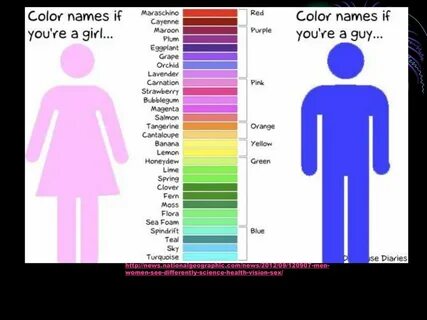 Colors meme