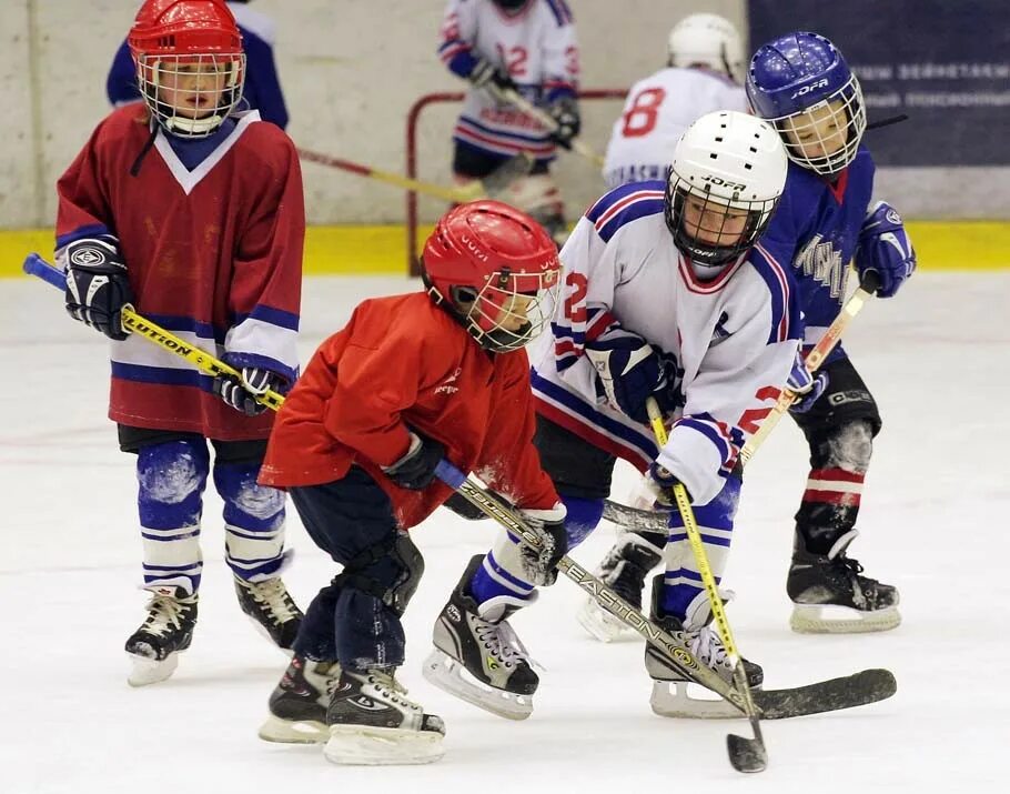 Спортивные секции хоккей. Шуйские Соколы хоккейная команда. Юлынцев Александр тренер Михайлович хоккейный. Хоккей дети. Детский хоккей.