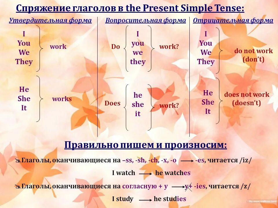 Have has did в вопросительных предложениях. Глаголы в настоящем простом времени. Настоящей простой утвердительной формой глаголов. Глаголы в present simple Tense:. Проспрягайте глаголы в present simple.