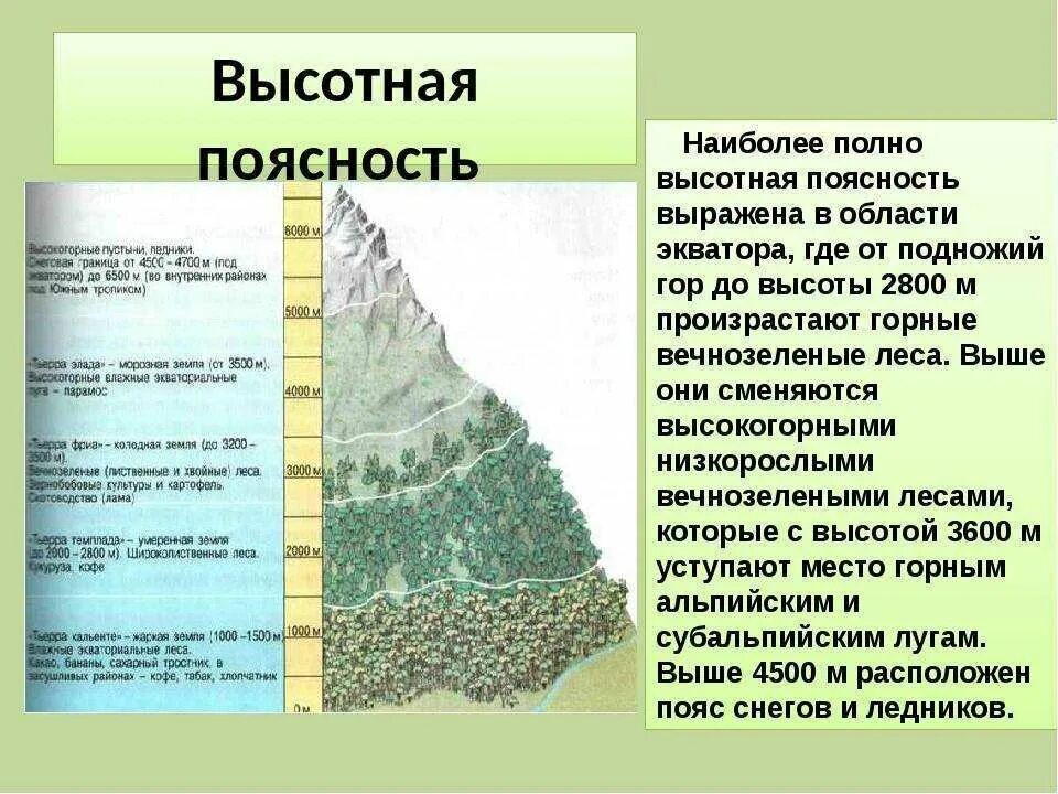 Сколько территории занимают горы. Природные зоны ВЫСОТНОЙ поясности. Высотная поясность анд растительность. Высотная поясность Южной Америки 7 класс таблица. Высотное поестность гор анд.