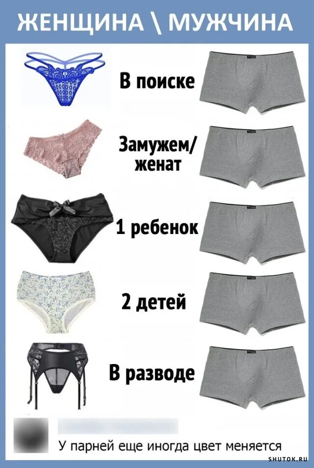 Замужем в разводе. Трусы мужские и женские. женские трусы типа мужских. типы женских трусов. трусы в поиске замужем.