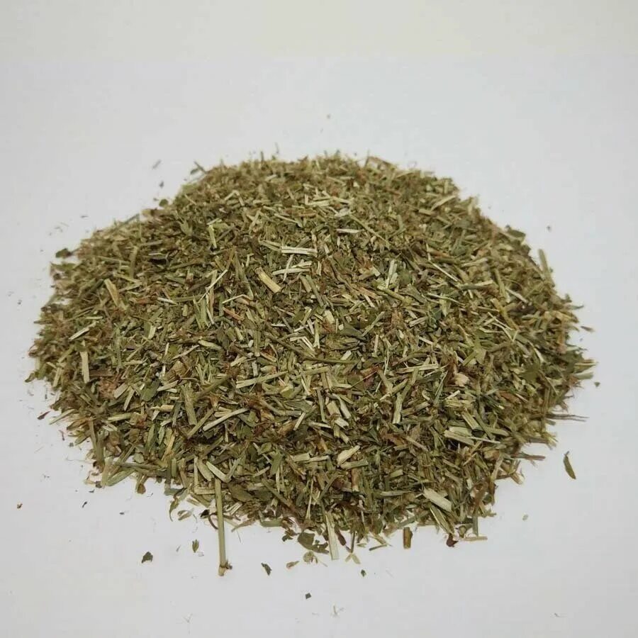 спорыш (птичий горец) семена. спорыш трава. спорыш трава семена. горец птичий (спорыш, гусиная трава. горец птичий семена фото.