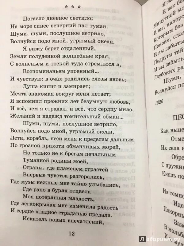 Стихотворение погасло. Стих Пушкина погасло дневное светило. Погасло дневное светило книга.