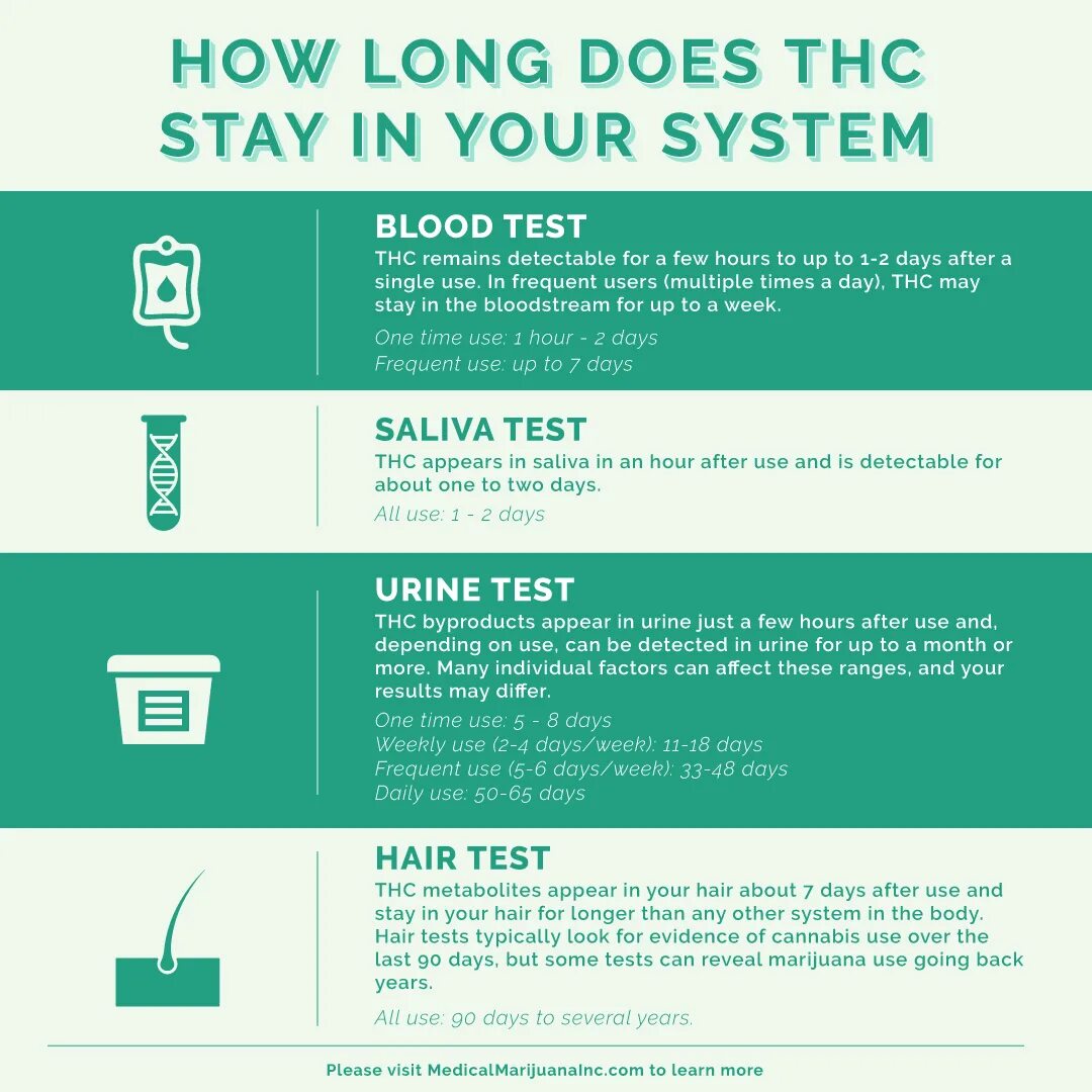 How long how many. How long. how long do the effects of marijuana. how long does medical marijuana last. how long are the effects of marijuana.