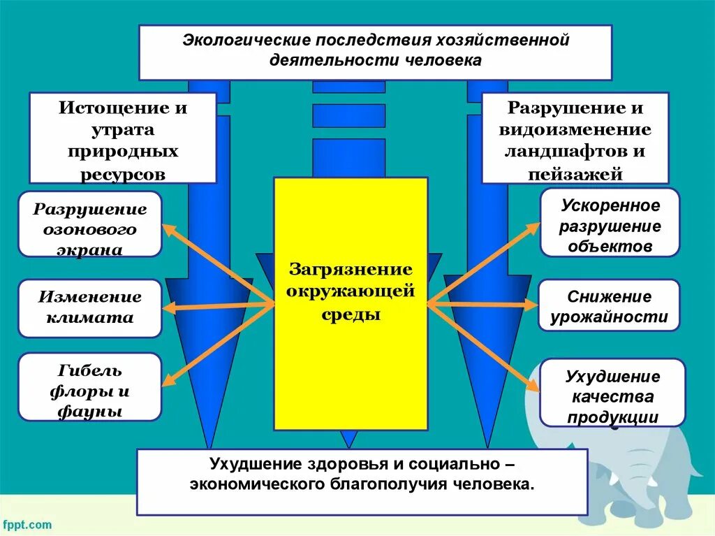 Экологические последствия бытовой и производственной деятельности человека