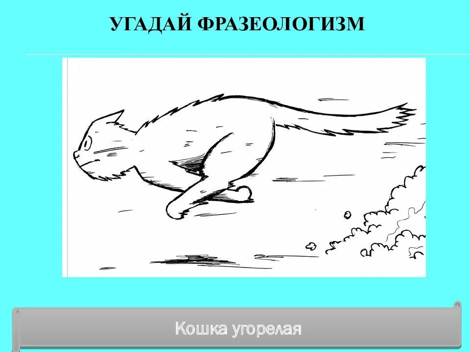 Без задних ног значение. Фразеологический зоопарк. фразеологический зверинец фразеологизмы. как угорелая фразеологизм. как угорелый значение фразеологизма.