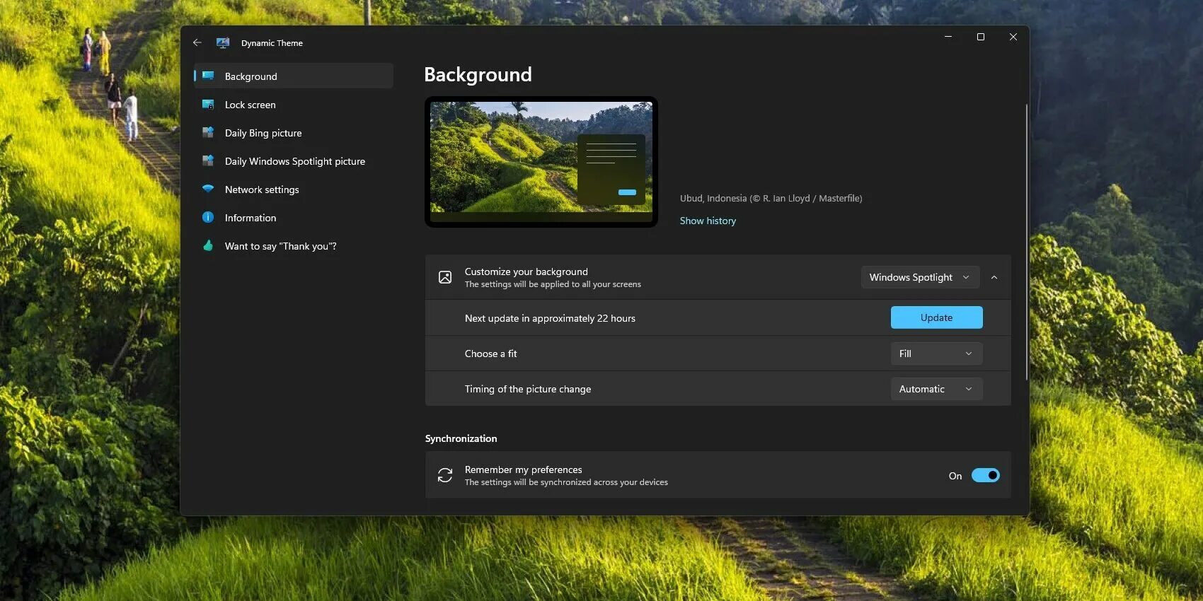 Dynamic theme