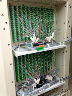 Plant fiber